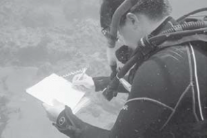 A Samford University student conducting coral research.