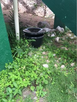 Mosquitotrap