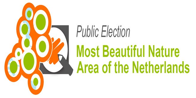 public-election-saba